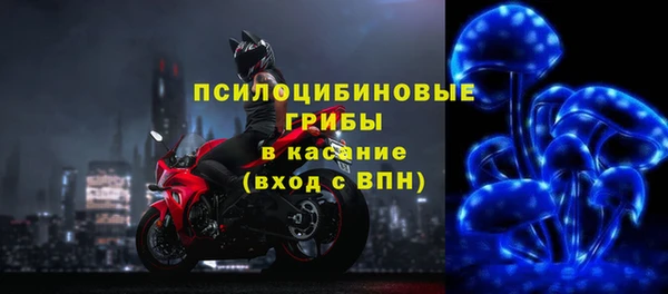 СК Алзамай