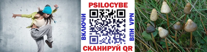 продажа наркотиков  Заринск  Галлюциногенные грибы Cubensis 